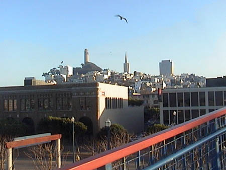DSC00196