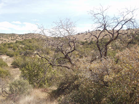 P2170009