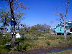 Isle de Jean Charles, Louisiana - scarecrow: HELP US!
