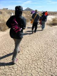 Mojave walkers, Feb. 17, 2006