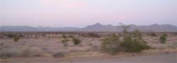 Mojave landscape
