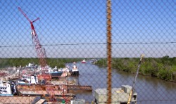 Bayou near Isle de Jean Charles, Louisiana