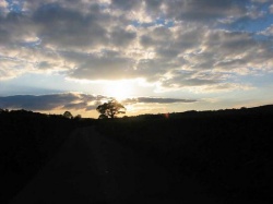 Road to the Sun